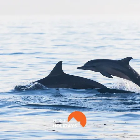 #082 Families Only - Sao Rafael By Holidays Apartamento